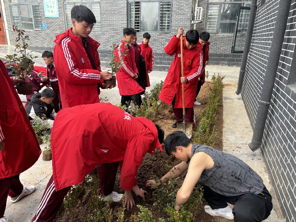 武术学校：春风化雨育桃李，雷锋精神照绿林 ——多维度探索教育新篇章