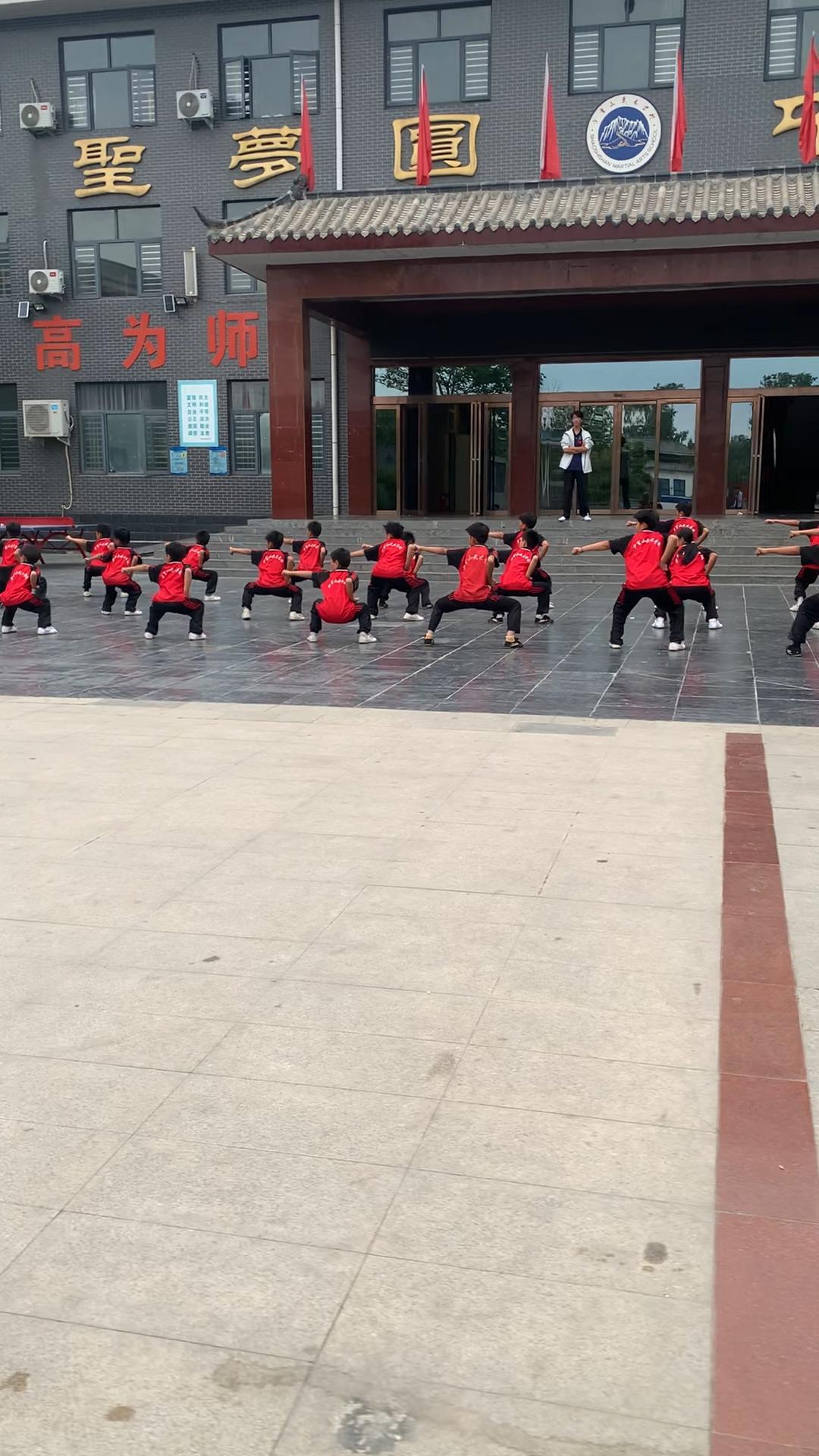 河南郑州都有什么武校？2026 郑州武校全景盘点与择校指南